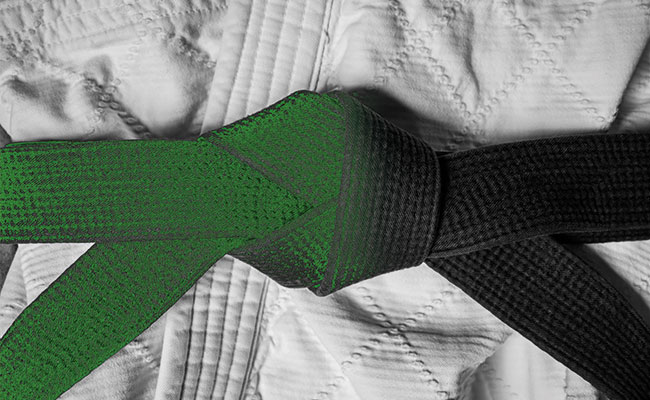 Green Belt to Black Belt